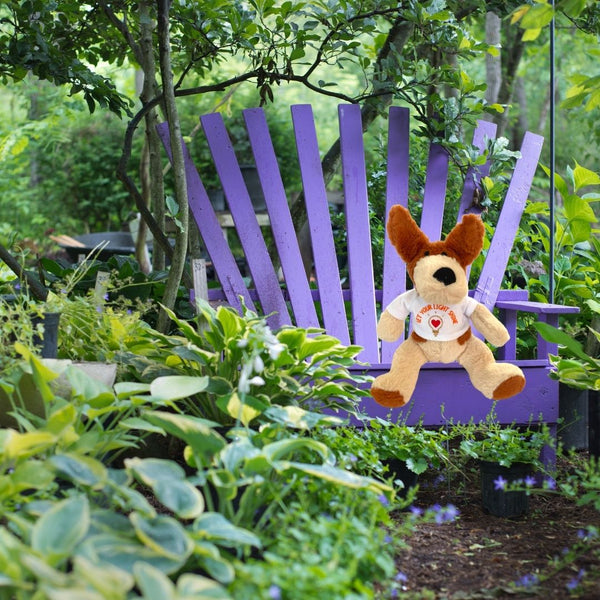 A photograph of a small Mary, Martha & Meg soft plush toy dog wearing a t-shirt with the words, ‘Let your light shine’ above a gold glitter lightbulb with a red heart at its centre. The adorable cream and brown dog is seated on a child’s garden seat which is painted purple. Lush green foliage and trees surround the bench and delightful soft toy dog.