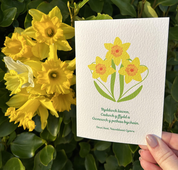 A beautifully textured eye-catching card of three golden daffodils featuring the last words of Dewi Sant, Nawddsant Cymru, “Byddwch lawen, Cadwch y ffydd a Gwnewch y pethau bychain.” It is a lovely reminder to serve each other in the little things we do, no matter how small. This Mary, Martha & Meg card is pictured held in a hand, next to golden daffodils.