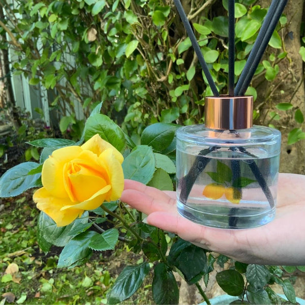 This beautiful Mary, Martha & Meg luxury reed diffuser bottle can be seen held in Meg’s hand. The fresh lemon fragrance is illustrated with two lemons and their green leaves on the bottle. The Joy reed diffuser bottle is photographed next to a yellow rose bush with garden foliage in the background.
