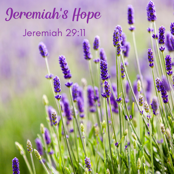 Jeremiah's Hope Natural Soap